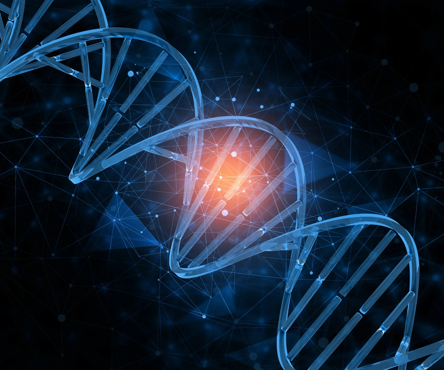 Bioinformatics Workshop